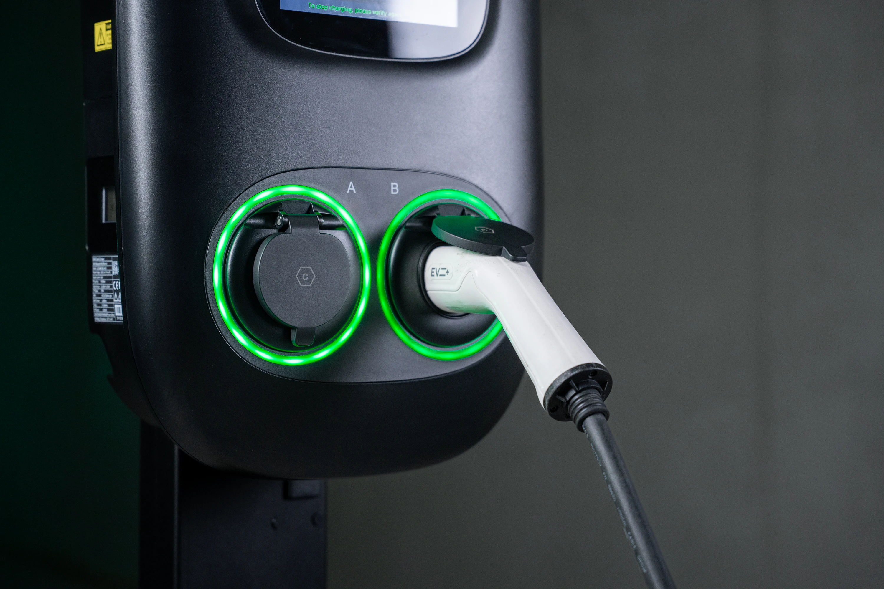Two Pro dual socket close-up with cable